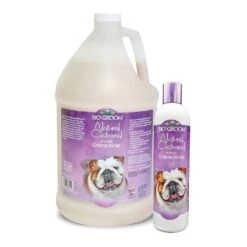 Dog Care Shop -Dog Care Shop bg33 main